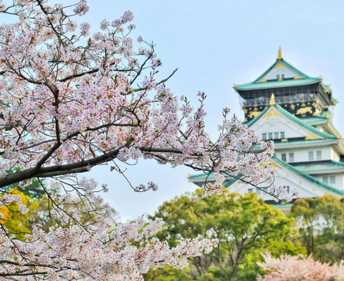 Puhkus põnevas Tokyos, 2* hotellis PALACE JAPAN!