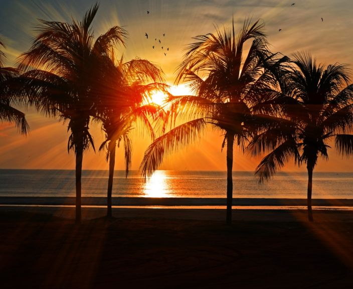 Puhkus palmide all 4* ZYA REGINA RESORT & AQUA PARK hotellis Egiptuses!