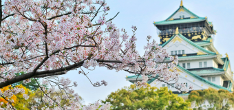 Milliseid dokumente on vaja Jaapanisse reisimiseks? 🇯🇵