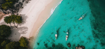 Reisid Sansibarile - millal minna ja mida teha? 🏖️
