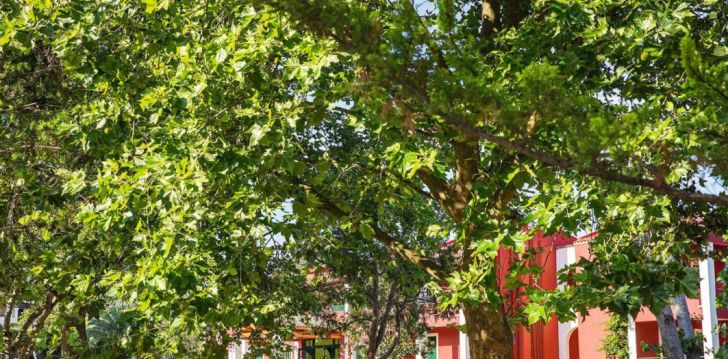 Avasta Korfu saart ja peatu 5* hotellis GRECOTEL LUX ME COSTA BOTANICA! 8