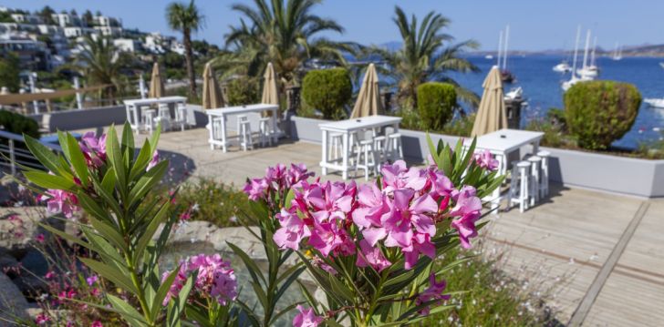 Puhkus Bodrumis, Türgis, 5* hotellis DIAMOND OF BODRUM! 44