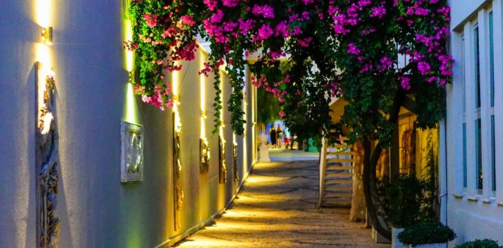 Puhkus Türgis, Bodrumis, 5* hotellis BLUE DREAMS RESORT! 65