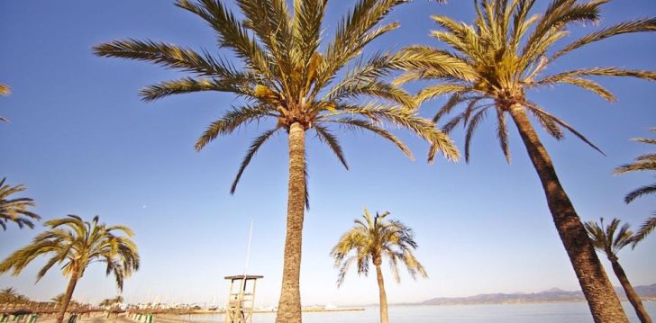 Puhkus täis veerõõme Mallorcal, 3* hotellis MLL PALMA BAY CLUB RESORT! 30
