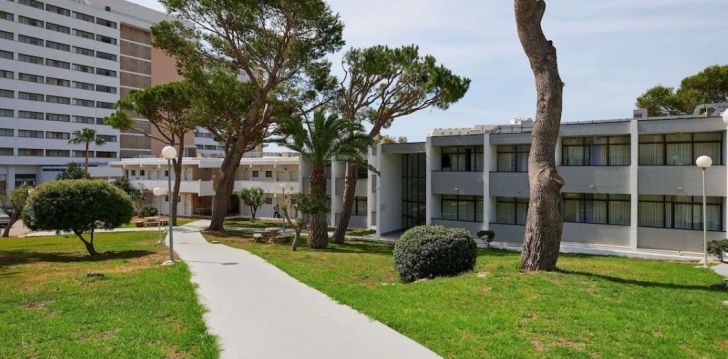Võluv Mallorca ja peresõbralik 3* hotell SOL CALA ANTENA! 11