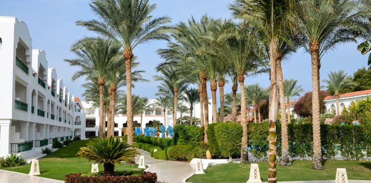 Puhkus ainult täiskasvanutele Sharm el Sheikhis, 5* hotellis BARON PALMS RESORT (ADULTS ONLY 16+)! 4