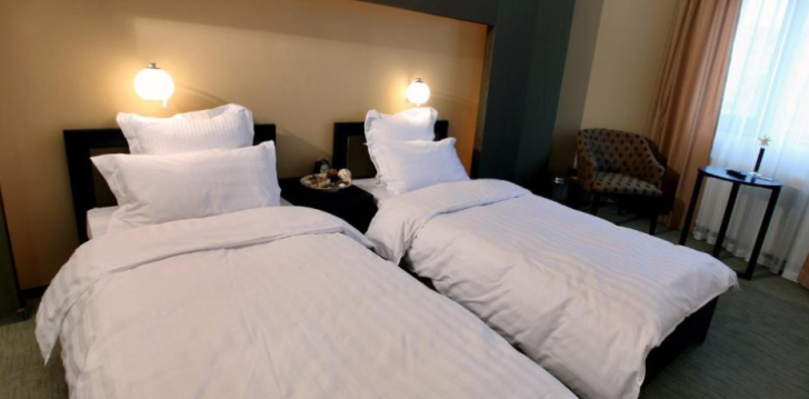 Puhkus Bukarestis, 3* hotellis HOTEL AMBIANCE! 9