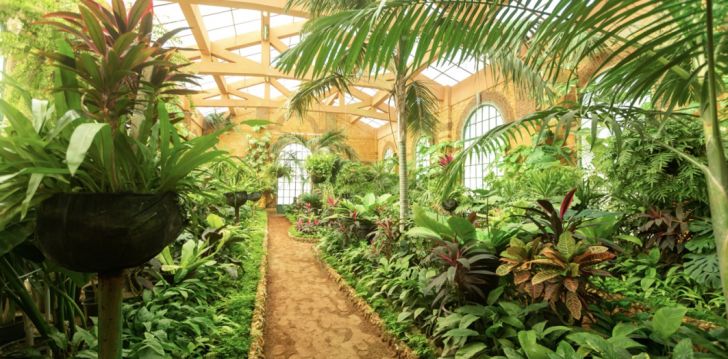 Avasta kaunist Alexandriat Egiptuses, peatu 5* hotellis RIXOS MONTAZA ALEXANDRIA! 13