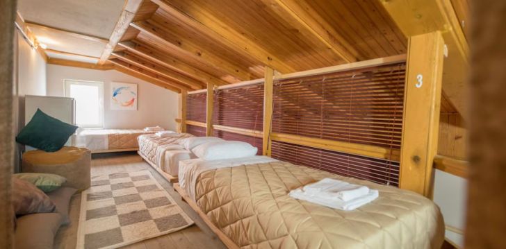Hosteli tüüpi puhkus Tiranas, 2* hotellis MOSAIC HOME! 13
