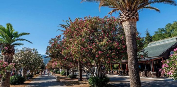 Hubane puhkus Montenegros, 3* hotellis VILLA ANTIVARI! 7