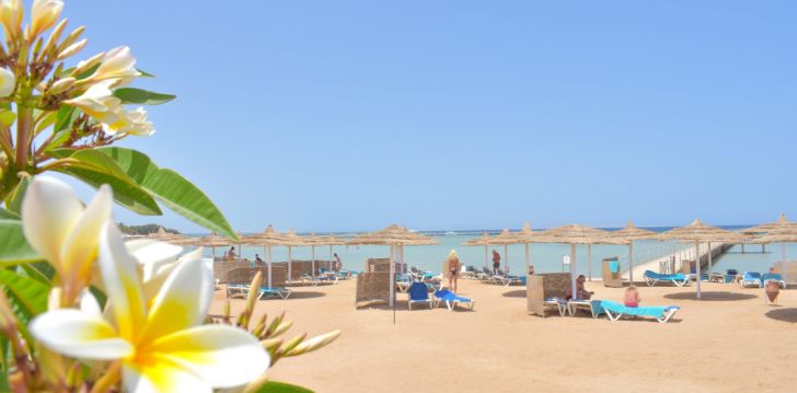 Imeline perepuhkus Hurghadas 5* JASMINE PALACE hotellis! 62