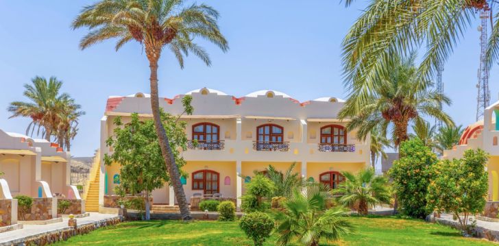 Aktiivne puhkus Marsa Alamis, 4* hotellis PROTELS BEACH CLUB & SPA RESORT! 12