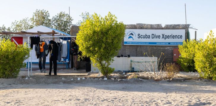 Lõõgastav puhkus Marsa Alamis, 4* hotellis BLISS NADA BEACH RESORT (EX. HOTELUX JOLIE BEACH)! 20