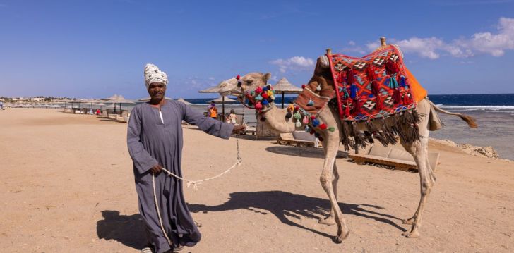 Lõõgastav puhkus Marsa Alamis, 4* hotellis BLISS NADA BEACH RESORT (EX. HOTELUX JOLIE BEACH)! 32