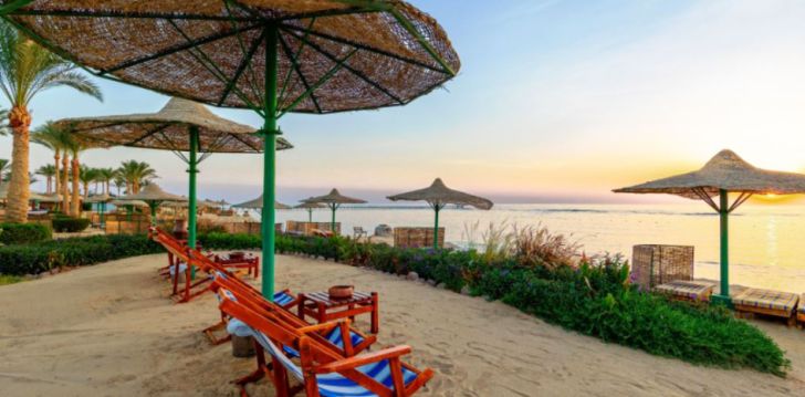 Marsa Alam ja 4* hotell FLAMENCO BEACH! 39