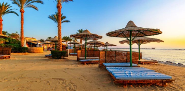 Marsa Alam ja 4* hotell FLAMENCO BEACH! 41