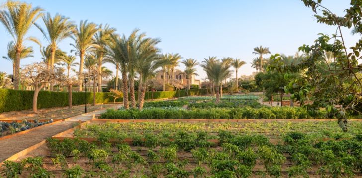 Puhkus Marsa Alamis, 5* hotellis MOVENPICK RESORT EL QUSEIR! 14