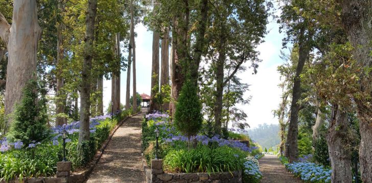 Looduslähedane puhkus Madeiral, 5* hotellis HOTEL QUINTA DA SERRA - BIO HOTEL! 22