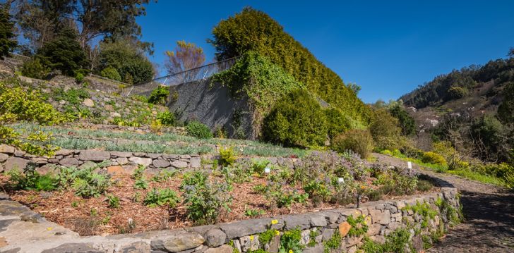 Looduslähedane puhkus Madeiral, 5* hotellis HOTEL QUINTA DA SERRA - BIO HOTEL! 23
