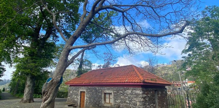 Looduslähedane puhkus Madeiral, 5* hotellis HOTEL QUINTA DA SERRA - BIO HOTEL! 27