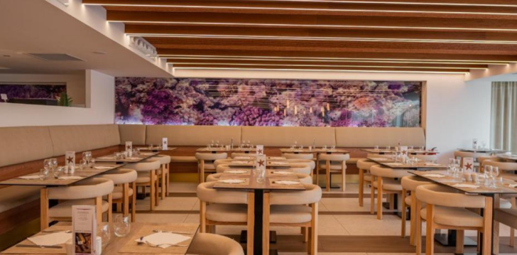 Meeldejäävad elamused Mallorcal, 4* hotellis BAHIA DEL SOL! 19