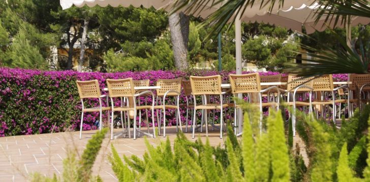 Perega puhkusele Mallorcale, 4* hotell ZAFIRO MALLORCA! 18