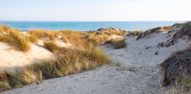 Meeldejäävad elamused Mallorcal, 4* hotellis VIVA CALA MESQUIDA RESORT & SPA! 30