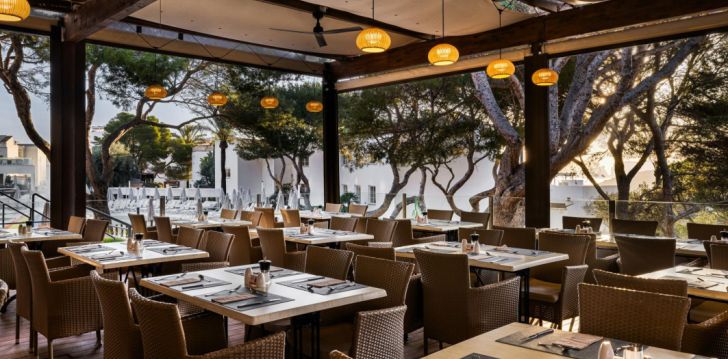 Meeldejäävad elamused Mallorcal, 4* hotellis VIVA CALA MESQUIDA RESORT & SPA! 42