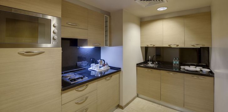 Avasta Delhit, peatu 4* hotellis Puhkus Delhis, 4* hotellis SVELTE, A MEMBER OF RADISSON INDIVIDUALS! 18