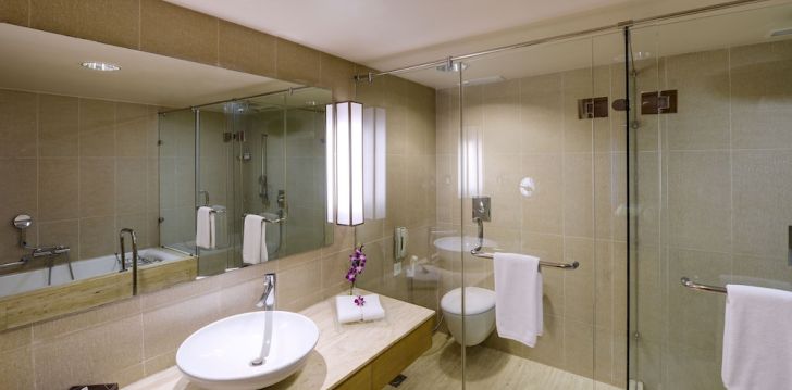 Avasta Delhit, peatu 4* hotellis Puhkus Delhis, 4* hotellis SVELTE, A MEMBER OF RADISSON INDIVIDUALS! 24