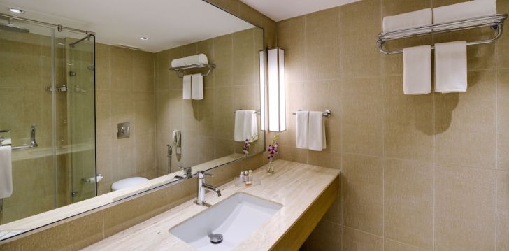 Avasta Delhit, peatu 4* hotellis Puhkus Delhis, 4* hotellis SVELTE, A MEMBER OF RADISSON INDIVIDUALS! 25