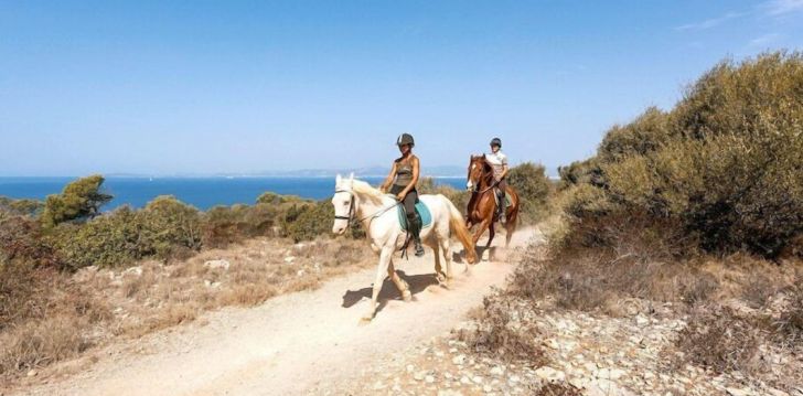 Puhka Mallorcal ökonoomselt, 2* hotell HOTEL SUN CLUB EL DORADO! 30