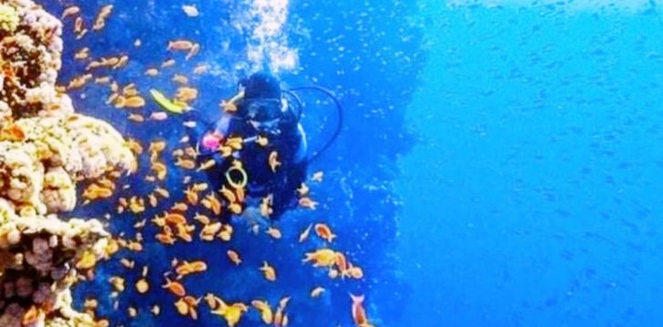 Ökonoomne puhkus Hurghadas, 3* hotellis GEISUM BEACH RESORT! 17