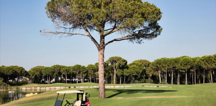 VIP puhkus Türgis, peatu 5* hotellis MAXX ROYAL BELEK GOLF RESORT! 4