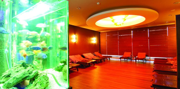 Puhkus populaarses Alanya kuurortis, 5* hotellis ALAIYE RESORT & SPA! 50