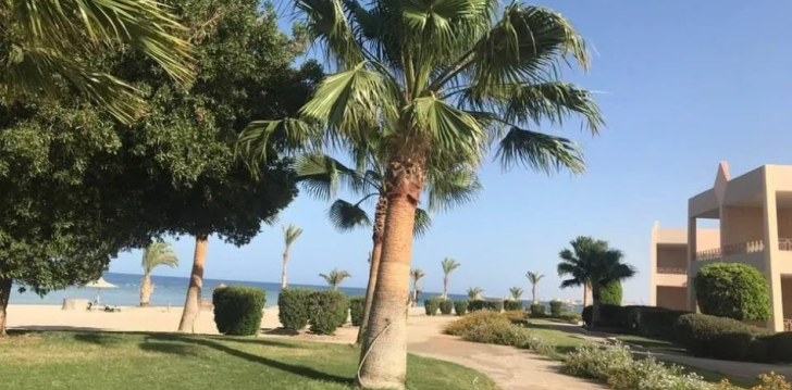 Ökonoomne puhkus Marsa Alamis, 4* hotellis SHONI BAY RESORT! 6
