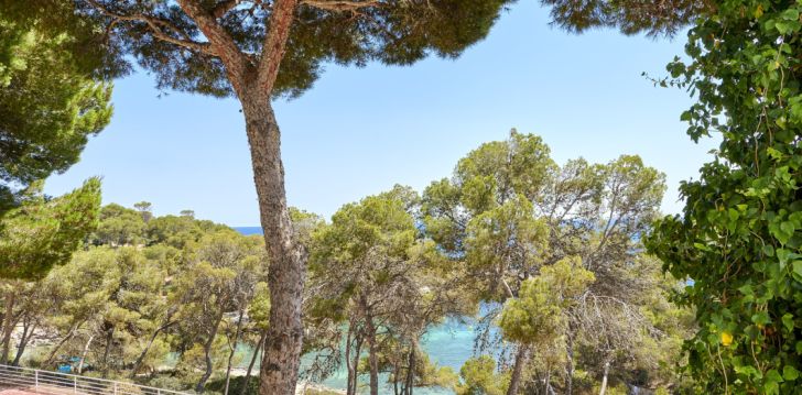 Puhkus Mallorcal, 4* hotellis IBEROSTAR WAVES CLUB CALA BARCA! 61