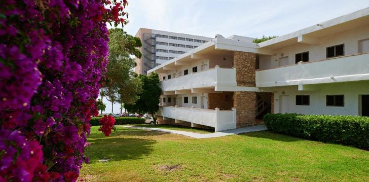 Tore puhkus Mallorcal, 4* hotellis ALUASUN CALA ANTENA! 14