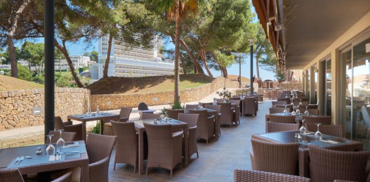 Reis Mallorcale, 4* hotell OCCIDENTAL CALA VINAS! 25