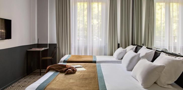 Linnapuhkus Pariisis, peatu 3* hotellis HOTEL GASTON! 8