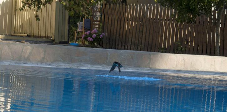 Mõnus puhkus Korfu saarel, 3* hotellis THE ELEONAS BOHOTEL! 5