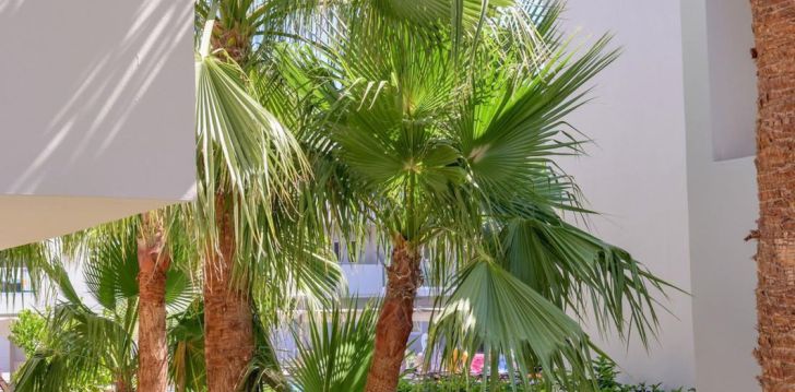 Kaunid elamused Kreetal, peatu 4* hotellis ZEUS HOTELS YDORIA RESORT! 13