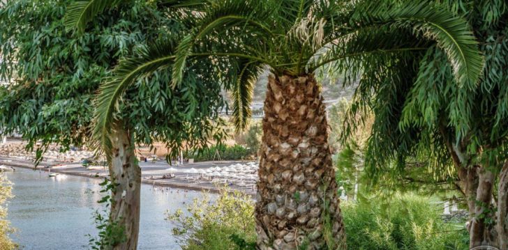 Reis Rhodosele, puhka lõbusalt 5* hotellis LINDOS ROYAL RESORT! 20