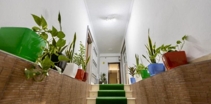 Hea hinna ja kvaliteedi suhe - puhkus Vlores, 3* hotellis PALM SUITES! 5
