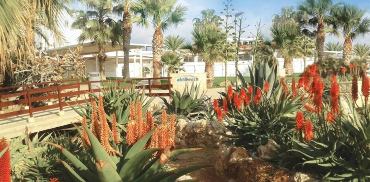 Puhkus Paphosel, 4* hotellis AKTI BEACH HOTEL & VILLAGE RESORT! 29