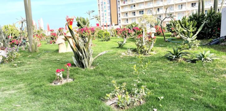 Lõbus perepuhkus Hurghadas, 5* hotellis REWAYA LUXURY RESORT! 12