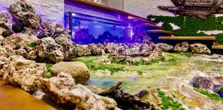 Tore mereäärne puhkus Vlores, 4* hotellis KRAAL HOTEL! 15
