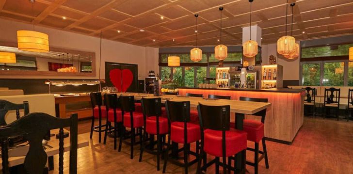 Looduslähedane puhkus Andorras, 3* hotellis HOTEL PALARINE! 13