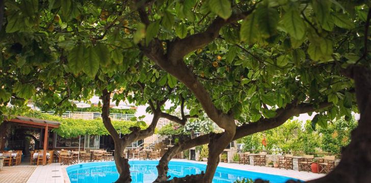 Puhkus Kreeta saarel, 3* hotellis ROXANI HOTEL! 4