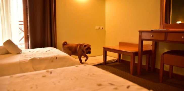 3* hotell MONT HELMOS HOTEL, Kreekas, Peloponneses! 27